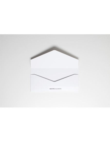 Busta Elegante Bianco Opaco 110x220