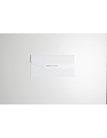 Busta Elegante Bianco Opaco 110x220